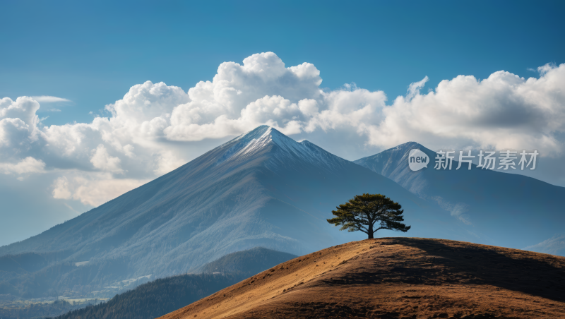 山上一棵孤树一座山高清图片