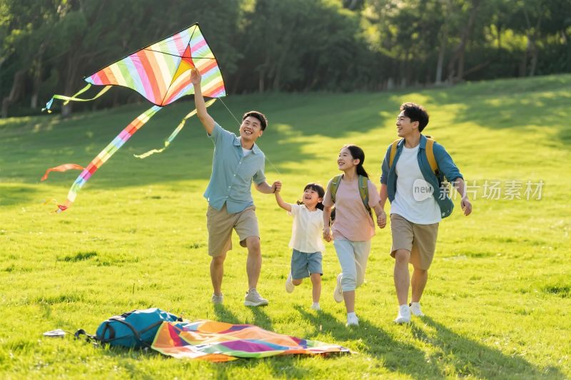 家庭草地放风筝
