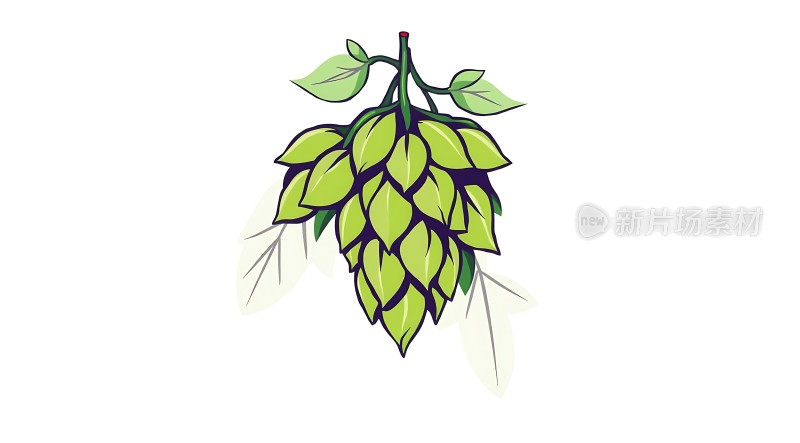 绿色啤酒花串挂图