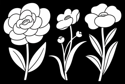 黑白线条花卉插画 黑白线条花卉插画