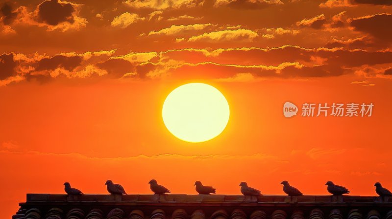 日出日落屋顶屋檐早晨夕阳朝阳晚霞