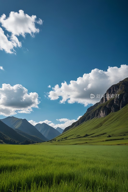 山中央一大片草地高清图片