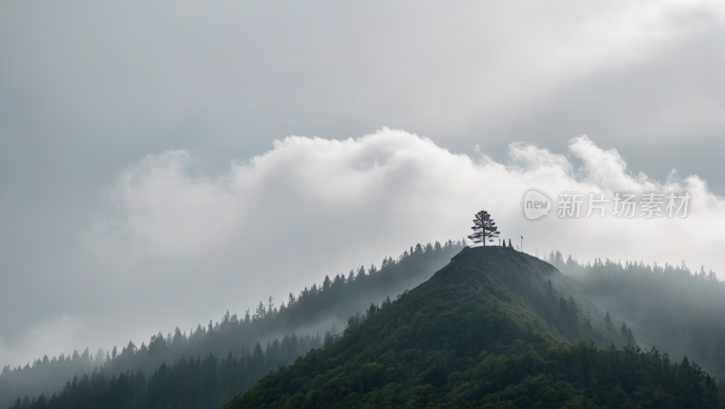 雾山山峰上的一棵孤树高清风景图片