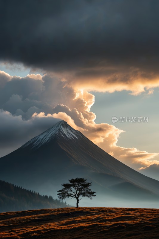 的前景是一棵孤独的树一座高山