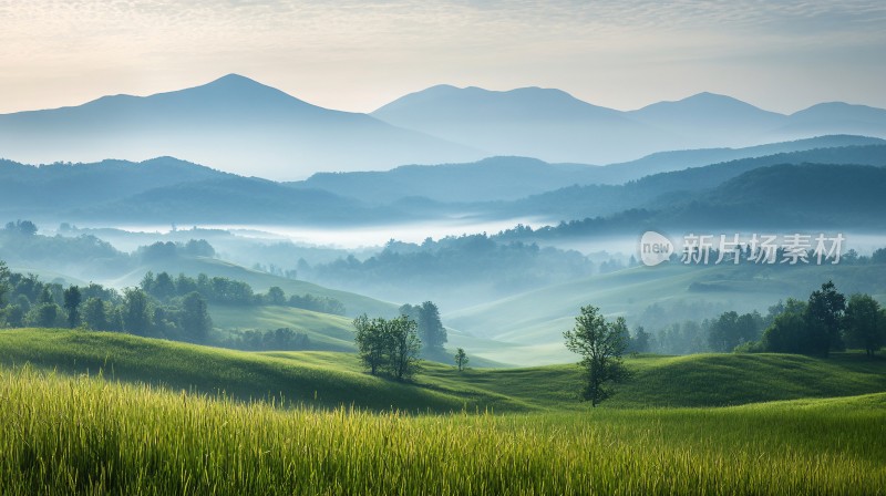 朦胧感田园风景