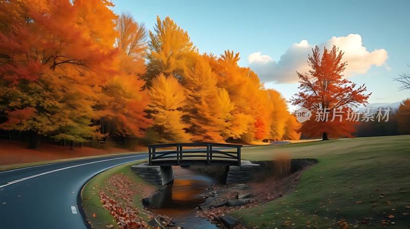 秋日暖阳下的宁静小桥流水