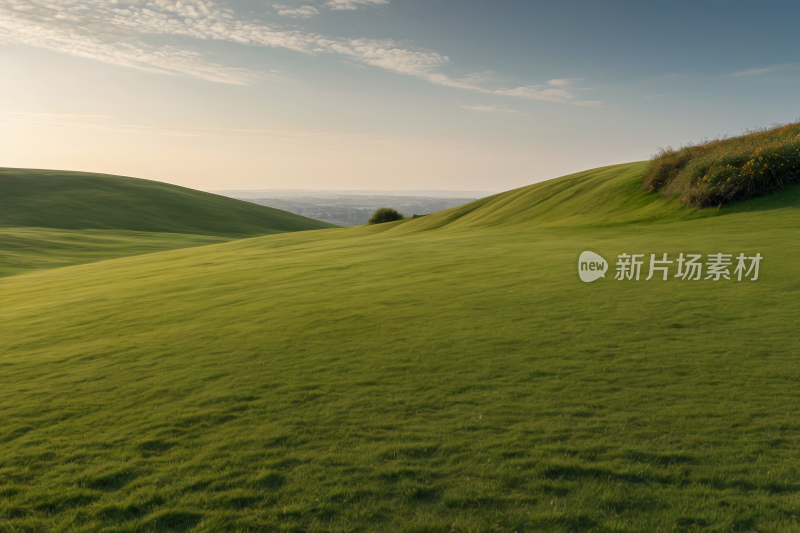 草山山坡长满青草山顶一棵孤树高清风景图片