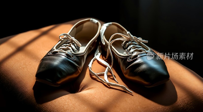 阳光下的黑色皮鞋