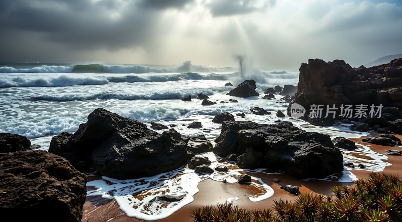 阳光下的海浪与岩石