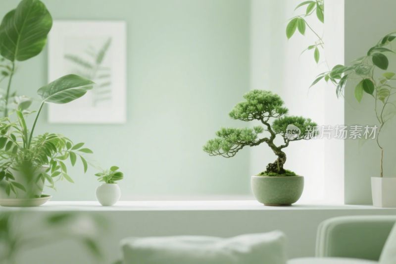 室内绿植布置场景