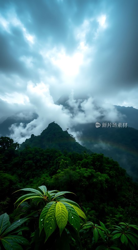 雨后山间彩虹现绿叶滴翠映云雾