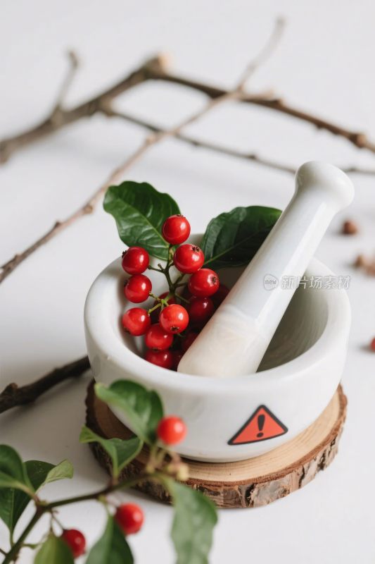 静物研钵与果实