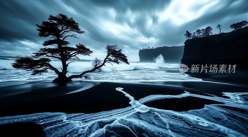 海边的孤独树影