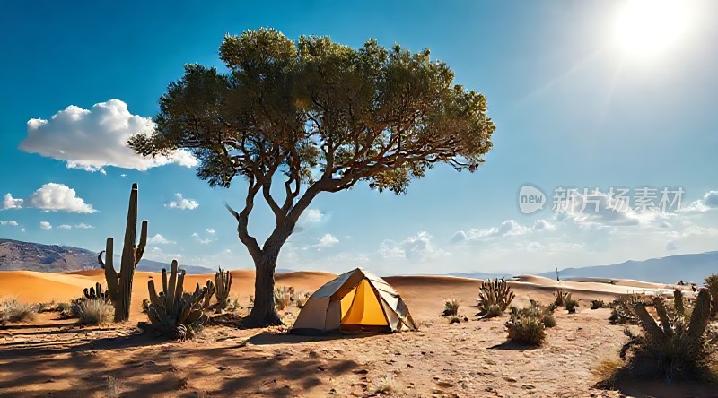 沙漠绿洲下的露营探险