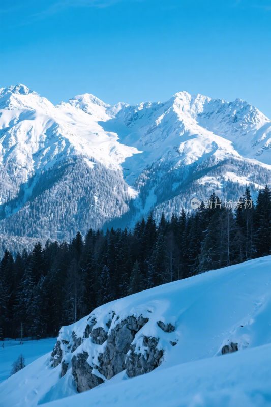 雪山森林雪景图