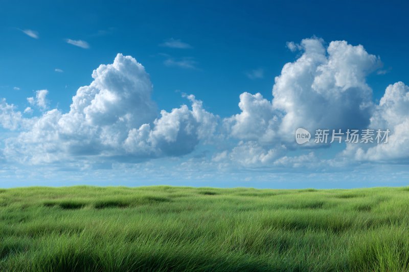 蓝天白云下的绿色草原
