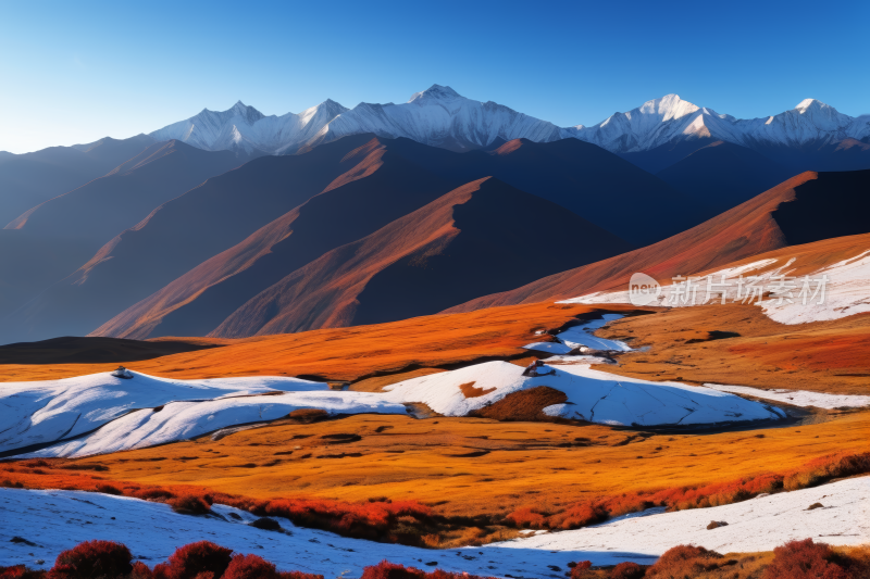 山上覆盖着雪和橙色的草还一股水流高清图片