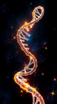 DNA螺旋结构 DNA螺旋结构