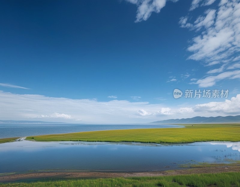 青海湖美景如画