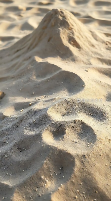 沙丘上的光影世界