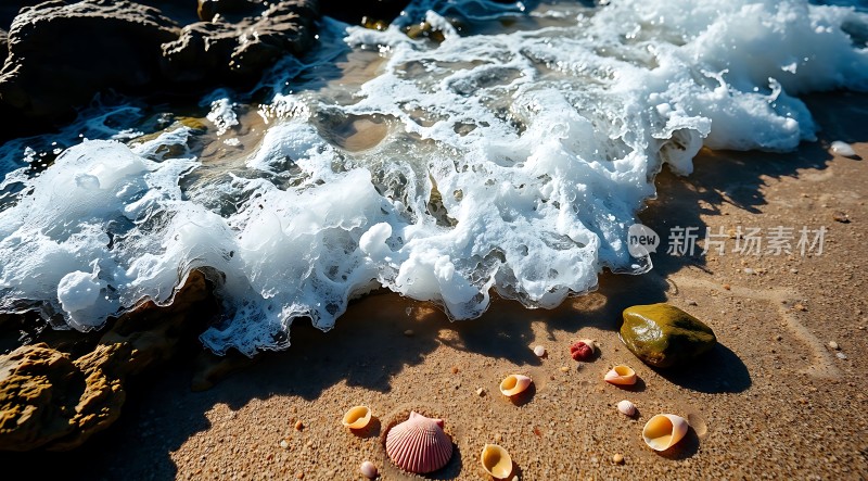 海浪轻拍沙滩贝壳散落阳光下
