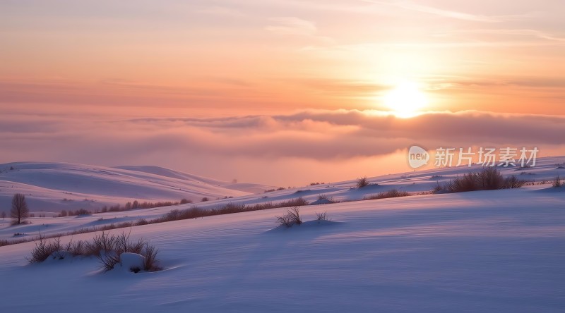 日出雪原宁静而壮丽