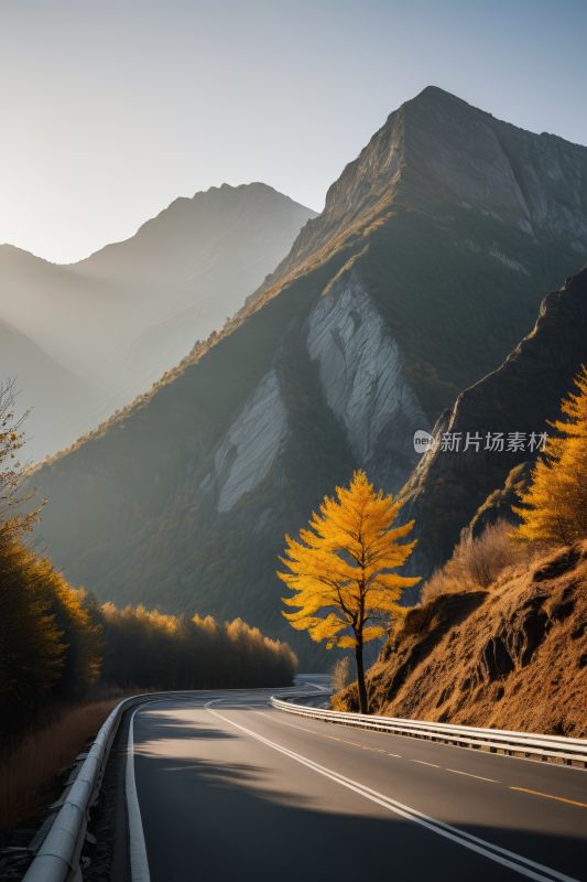 山路边一棵孤树高清风景图片