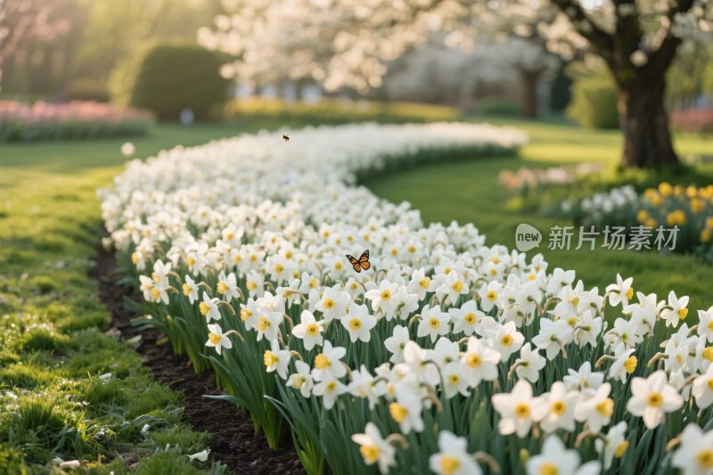 春日花园花丛景观