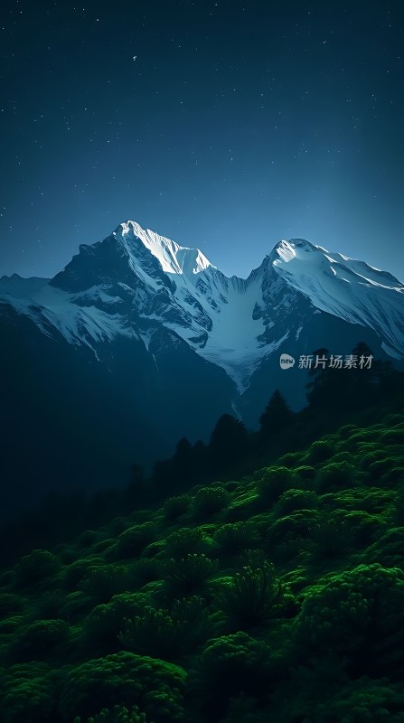 雪山绿树夜空星河