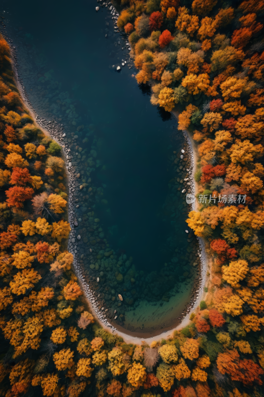 一个湖周围环绕着黄叶树木高清风景摄影图片