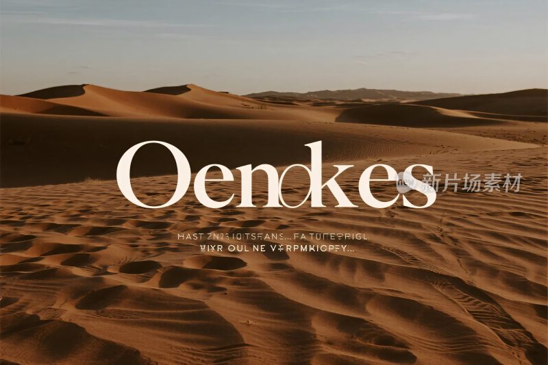 沙漠文字宣传图