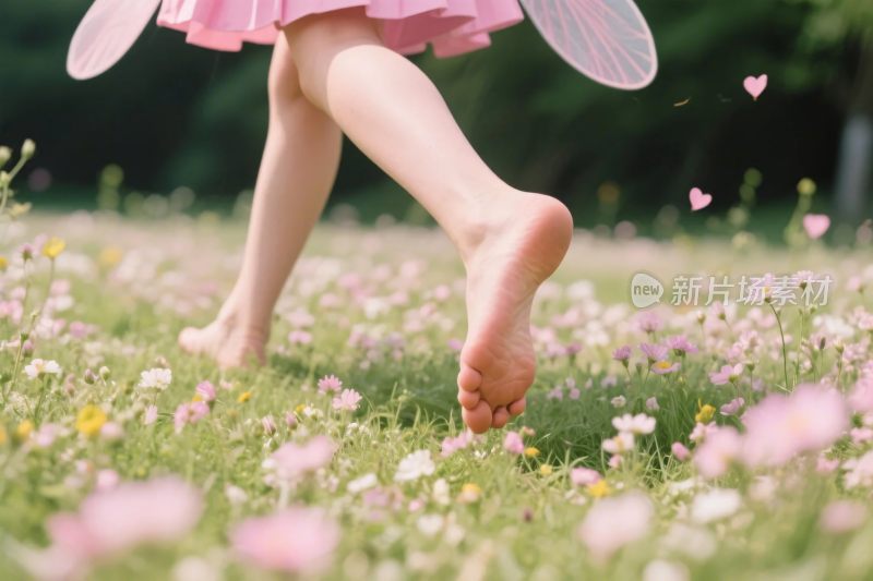 童趣花丛翅膀步态