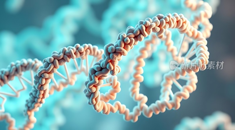 DNA螺旋结构之美