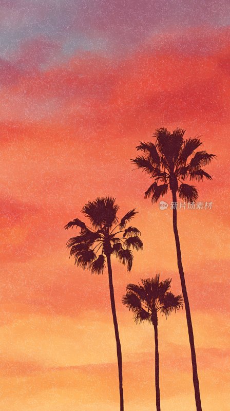 夕阳下的棕榈树美景