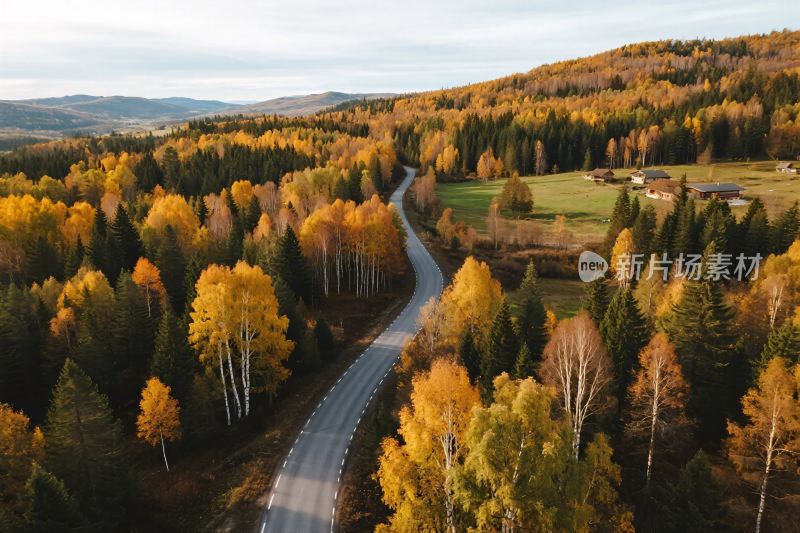 秋日林间蜿蜒公路风景