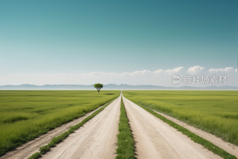 土路边一棵孤树高清风景图片