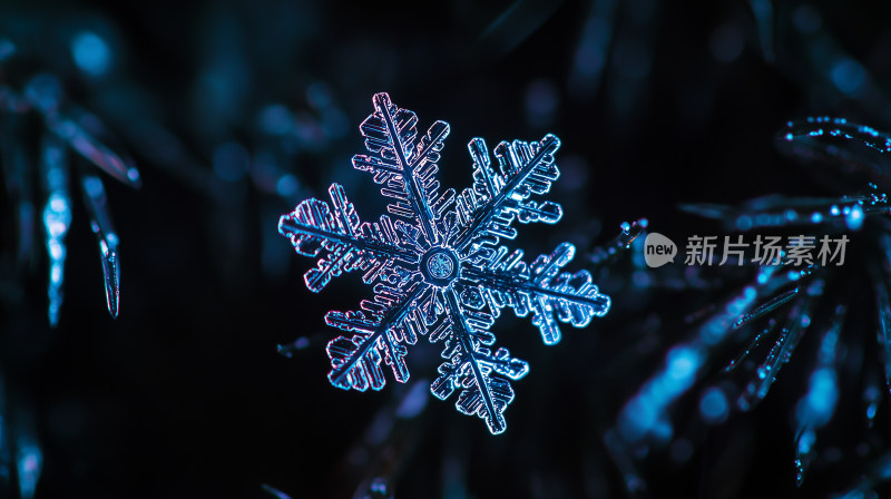 冷酷蓝色调的雪花微距展示