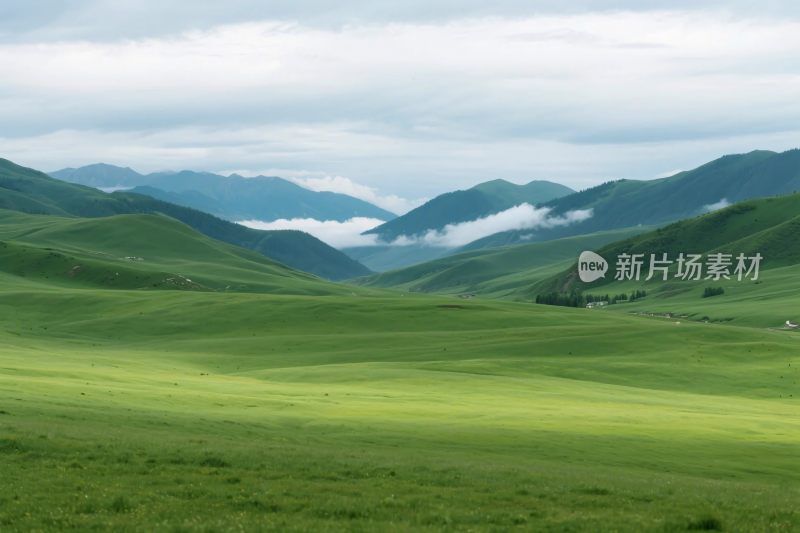 广袤草原与远山云雾景观