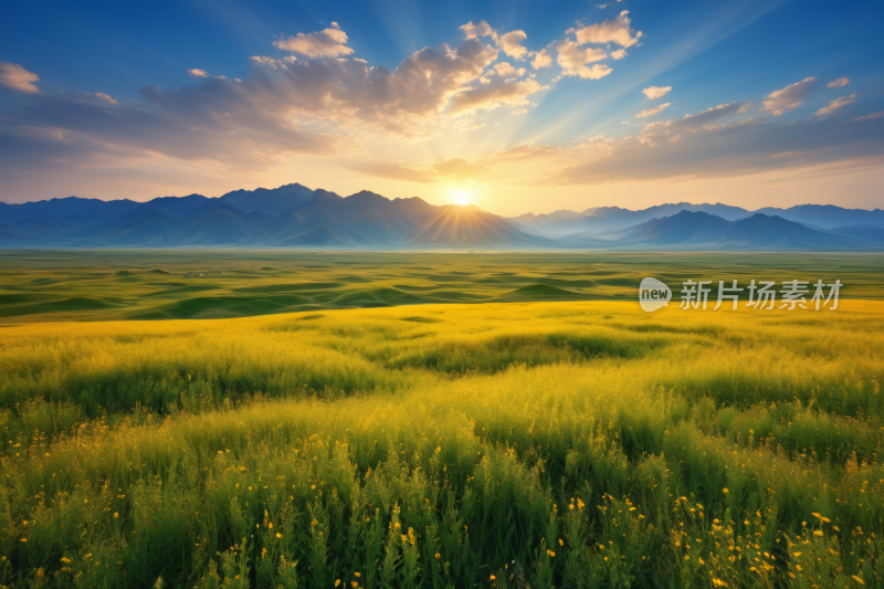 山脉的草地被夷为平地高清风景风光图片