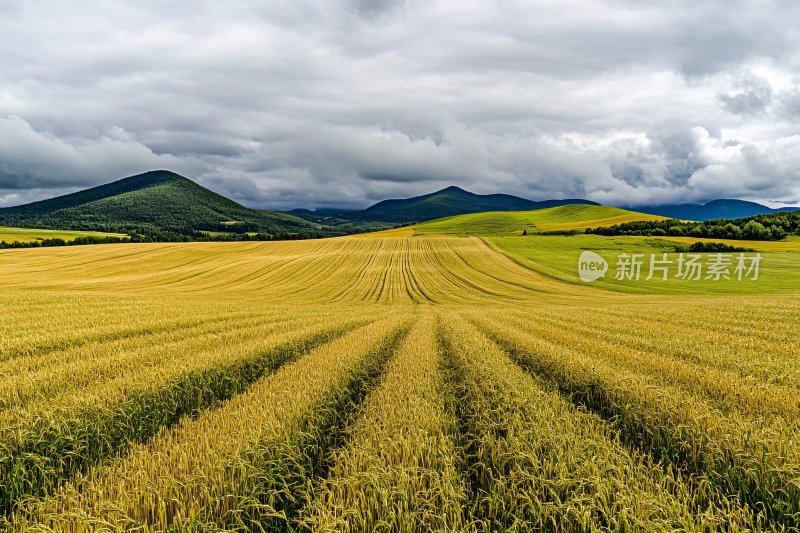 广袤田野与远山的自然景致
