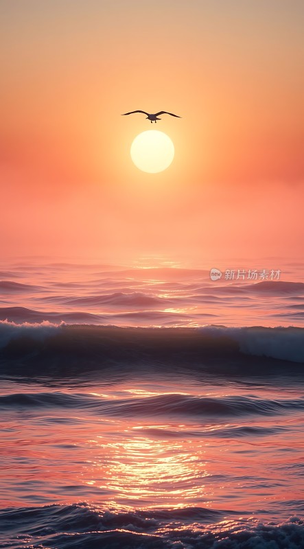 海鸥翱翔日落时分的海洋
