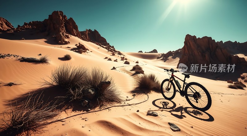 沙漠探险之旅单车勇闯沙丘