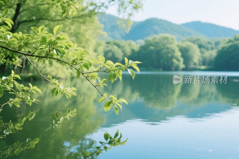 春日山水湖景画面