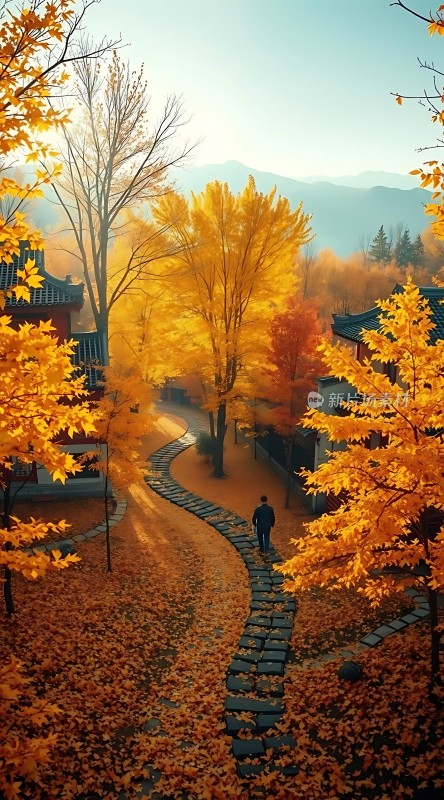 秋日暖阳下的古村小径