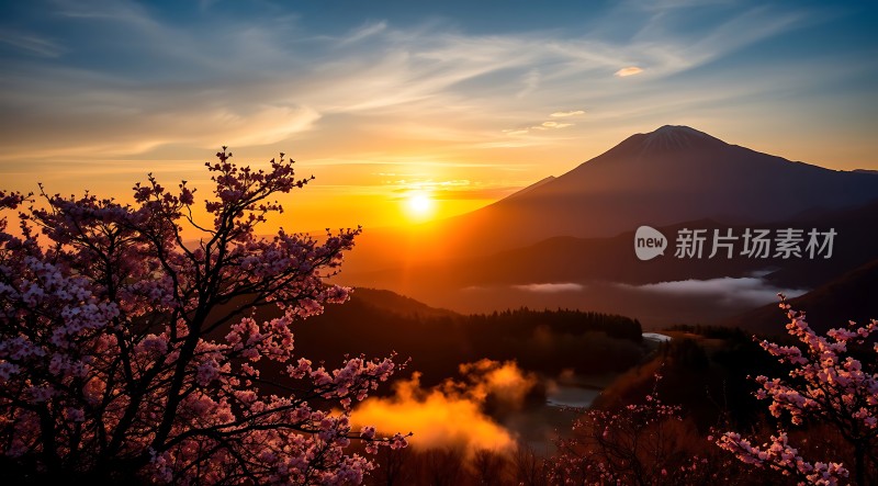 日出樱花富士山