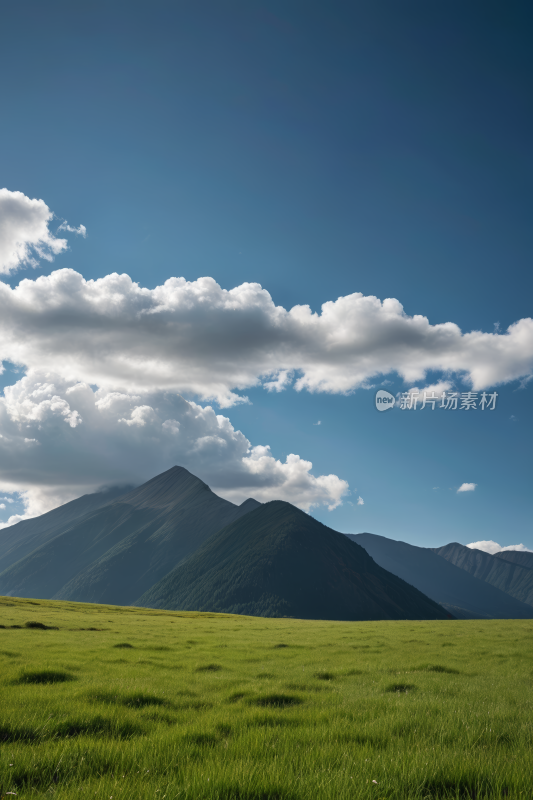 一匹孤马站在草地上高清风景图片