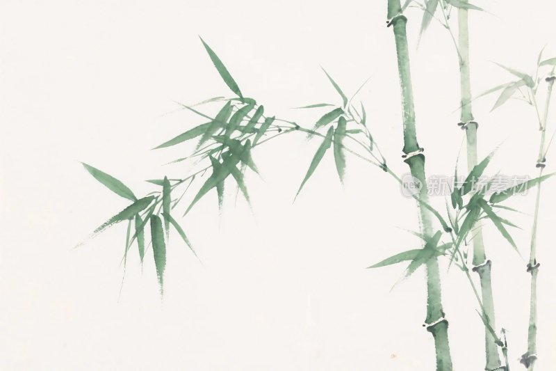 水墨竹子插画