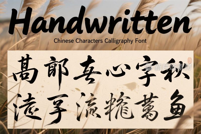 手写书法字体展示