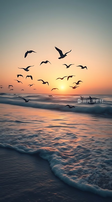 海鸥翱翔日落时分的海洋