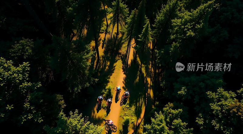 骑行者穿越绿色森林小径